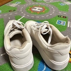 女性靴　2種類の画像