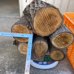 薪(栗の木)①の画像