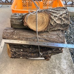 薪(栗の木)①の画像