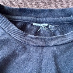 ニューヨークヤンキーストレーナーの画像