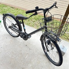 ブリヂストン　子供用自転車　ビッケ　　22インチ
の画像
