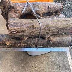 薪(栗の木)②の画像