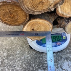 薪(栗の木)②の画像