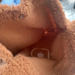 ミモランド くまさんの画像