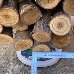 薪(栗の木)③の画像