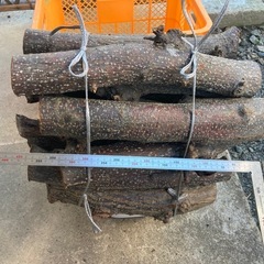 薪(栗の木)③の画像