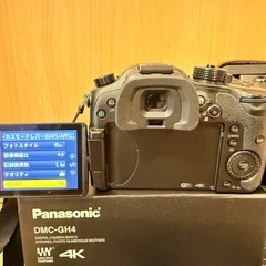 Panasonic LUMIX GH4 ライカレンズキット H-ES1206 ☆おまけ多数☆の画像
