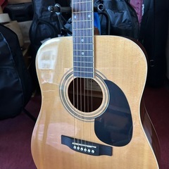 新品　未使用品ギターWG１０Ｎ の画像