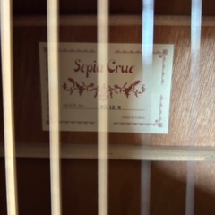 新品　未使用品ギターWG１０Ｎ の画像