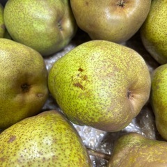 ラ・フランス 優品 Lサイズ5kgの画像