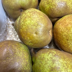 ラ・フランス 優品 Lサイズ5kgの画像