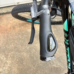 ビアンキ サイズ48の画像