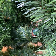 クリスマスツリー
の画像