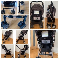 ソラリアプレミアム 希少カラーのベルテッドローザ の画像