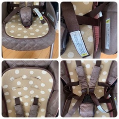 ソラリアプレミアム 希少カラーのベルテッドローザ の画像