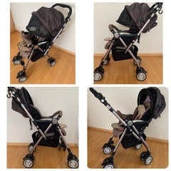 ソラリアプレミアム 希少カラーのベルテッドローザ の画像