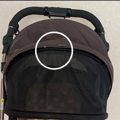 ソラリアプレミアム 希少カラーのベルテッドローザ の画像