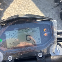 早い者勝ち　　ベネリ125S  新車の画像