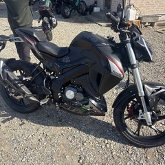 早い者勝ち　　ベネリ125S  新車の画像