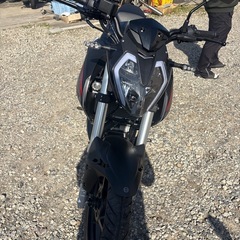 早い者勝ち　　ベネリ125S  新車の画像