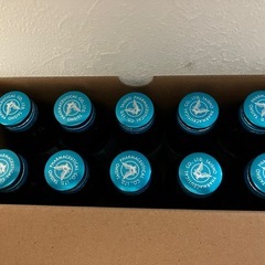 リポビタン COOL 100mL × 10本の画像