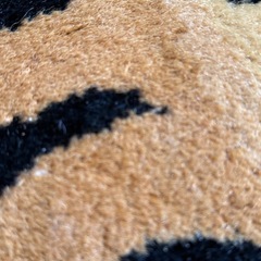 チベタンタイガーマットの画像