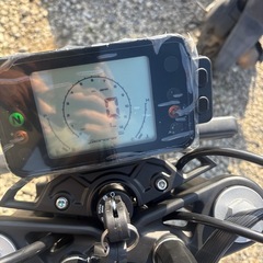 早い者勝ち　ベネリ125レオンチーノ　　新車の画像