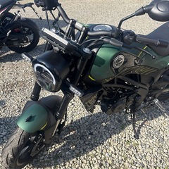 早い者勝ち　ベネリ125レオンチーノ　　新車の画像