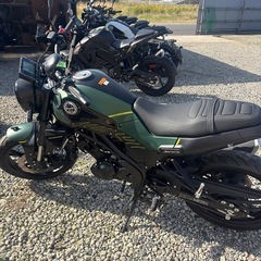 早い者勝ち　ベネリ125レオンチーノ　　新車の画像