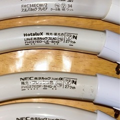 蛍光灯、ナツメ球、電球の画像