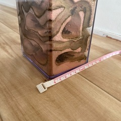 クロオオアリ　コロニーの画像