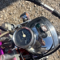 海外製ゴリラ　　ゴリラ　　クラキングOKの画像