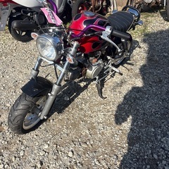 海外製ゴリラ　　ゴリラ　　クラキングOKの画像