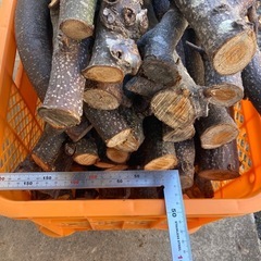 薪(栗の木)④の画像