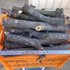 薪(栗の木)④の画像