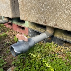 FRP水槽　４個　貯水槽　生簀　メダカ　らんちゅう の画像