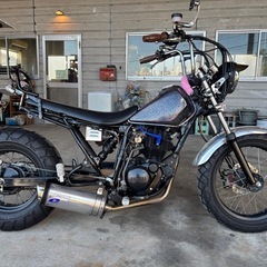 TW225E スカチューン ロンホイ の画像