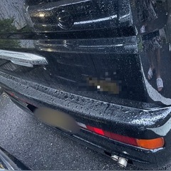 バモスホビオの画像