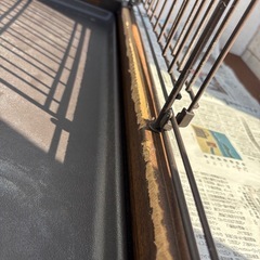 うさぎ ゲージ 犬猫の画像