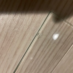 爬虫類ケージ 爬虫類倶楽部オリジナル6035サイズ の画像