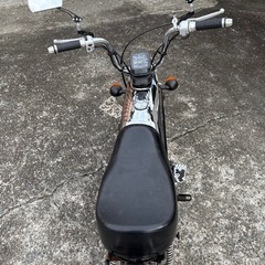 ススギ　EPO［エポ］の画像