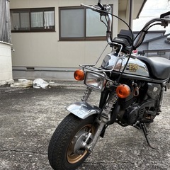 ススギ　EPO［エポ］の画像