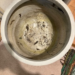 大きめのプランターの画像