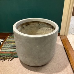 大きめのプランターの画像