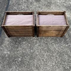 キャットハウス　ハンモック付きの画像