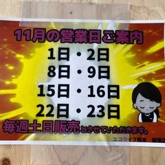 お値下げしました‼️写真集昔のいろいろ❤️希少品多数❤️懐かしのタイトルあり‼️1冊どれでも500円🔶週末のみ営業🔶の画像