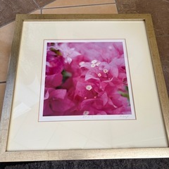 額縁　4種　無料！！の画像