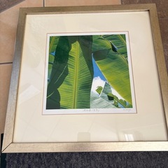 額縁　4種　無料！！の画像