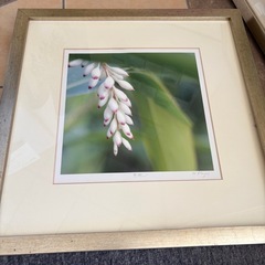 額縁　4種　無料！！の画像