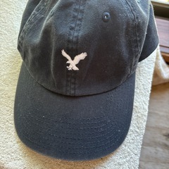 アメリカンイーグル帽子の画像